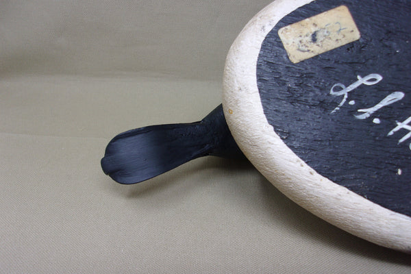 Lawrence Harris Shoveler Drake  (#4359)