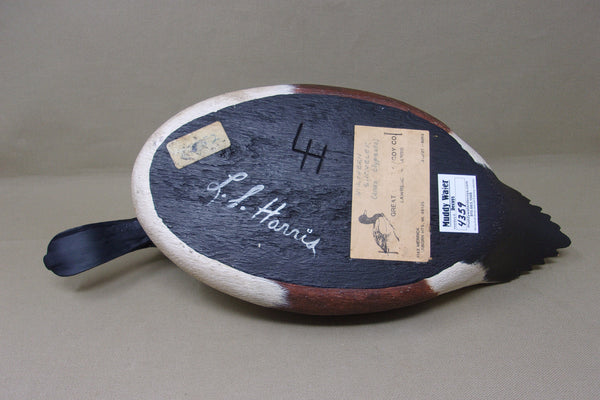 Lawrence Harris Shoveler Drake  (#4359)