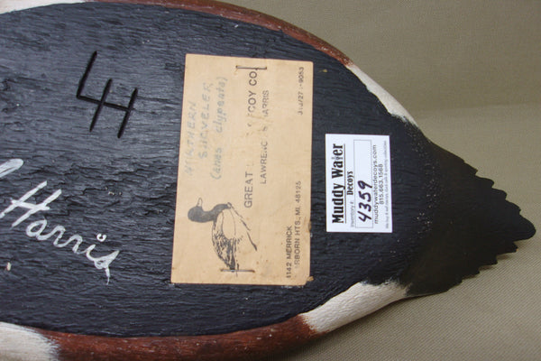 Lawrence Harris Shoveler Drake  (#4359)