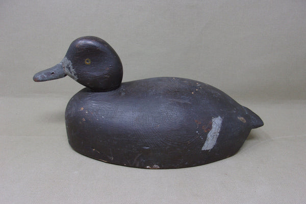 Michigan Blue Bill Hen, Circa 1930's (#4360)