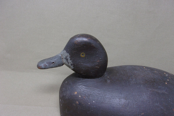 Michigan Blue Bill Hen, Circa 1930's (#4360)