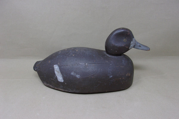 Michigan Blue Bill Hen, Circa 1930's (#4360)