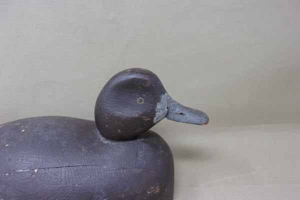 Michigan Blue Bill Hen, Circa 1930's (#4360)