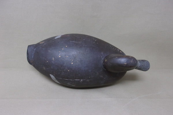 Michigan Blue Bill Hen, Circa 1930's (#4360)