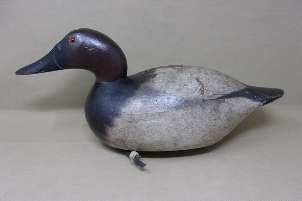 Mason Premier Canvasback Drake (#4361)