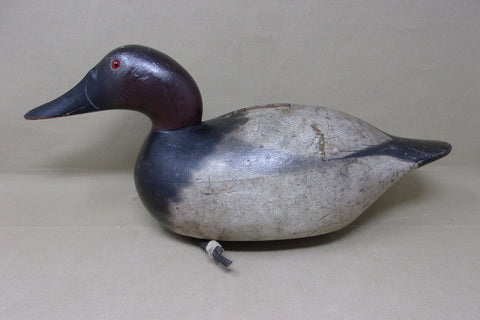 Mason Premier Canvasback Drake (#4361)