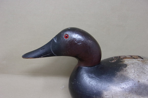 Mason Premier Canvasback Drake (#4361)