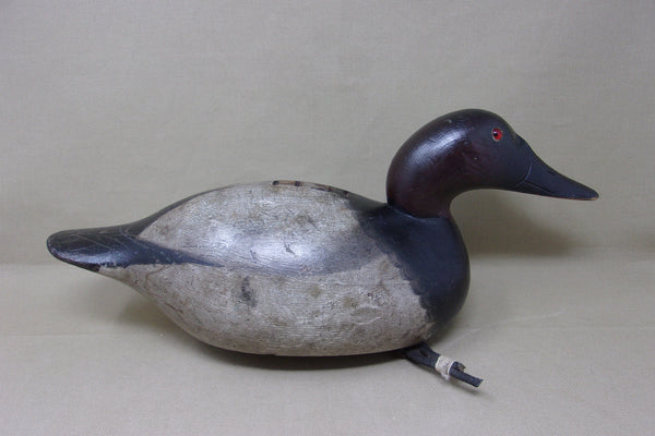 Mason Premier Canvasback Drake (#4361)