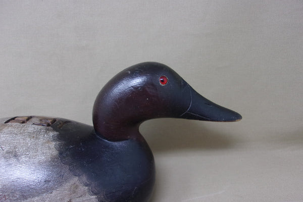 Mason Premier Canvasback Drake (#4361)