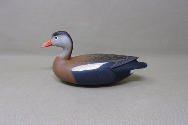 Rick Brown Third Size Black Belly Tree Duck  (#4404)