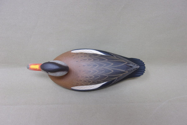 Rick Brown Third Size Black Belly Tree Duck  (#4404)