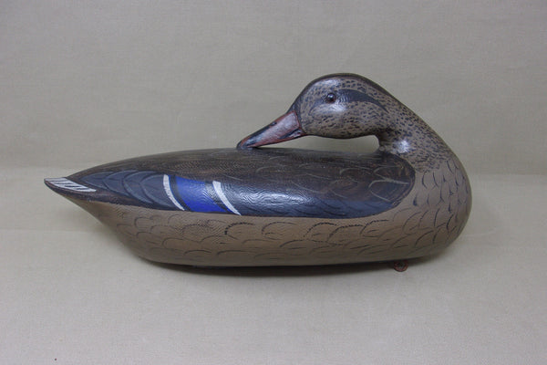 Perdew Style Preening Mallard Hen  (#4412)