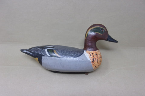 Charlie Moore Perdew Style Green Wing Teal  (#4413)