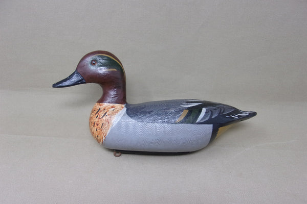 Charlie Moore Perdew Style Green Wing Teal  (#4413)