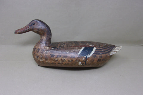 Henry Holmes Mallard Hen, Circa 1920's (#4421)