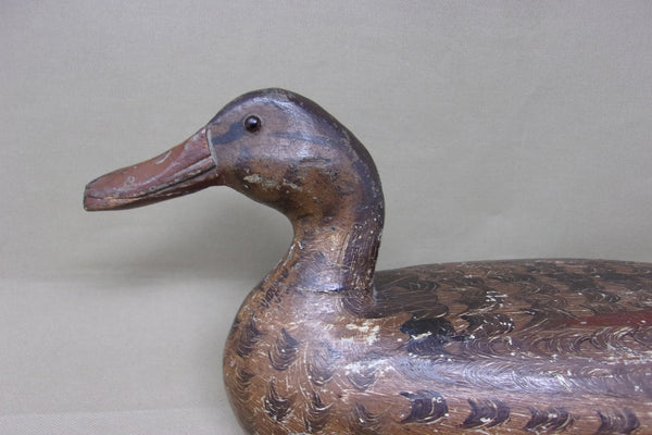 Henry Holmes Mallard Hen, Circa 1920's (#4421)