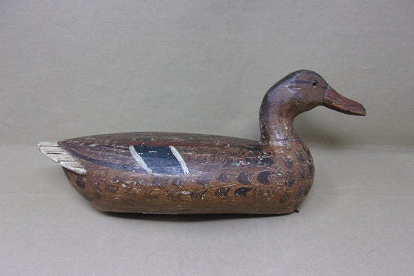 Henry Holmes Mallard Hen, Circa 1920's (#4421)