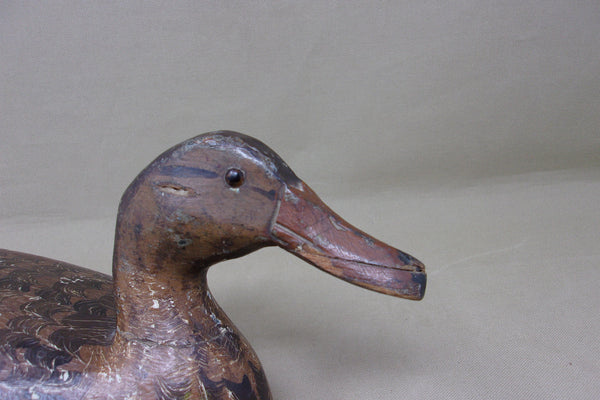 Henry Holmes Mallard Hen, Circa 1920's (#4421)