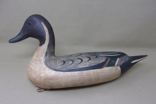 Mike Borrett Pintail Drake  (#4460)