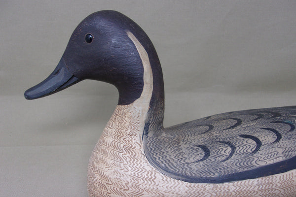 Mike Borrett Pintail Drake  (#4460)