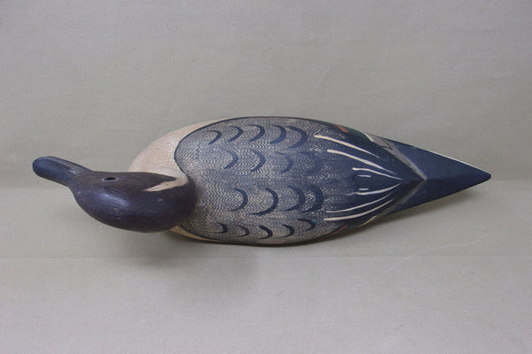 Mike Borrett Pintail Drake  (#4460)