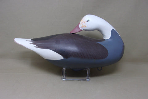 Preening Jim Pierce Eaglehead, Blue Goose  (#4496)