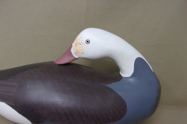 Preening Jim Pierce Eaglehead, Blue Goose  (#4496)