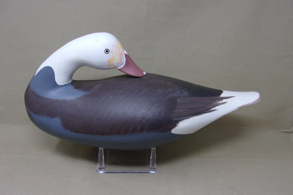 Preening Jim Pierce Eaglehead, Blue Goose  (#4496)