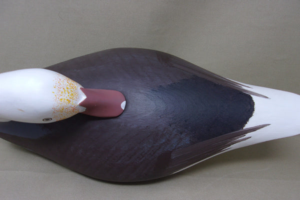 Preening Jim Pierce Eaglehead, Blue Goose  (#4496)