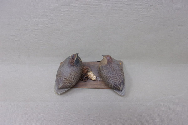 Miniature Quail Pair, Ralf Coykendall, Oregon (#4503)