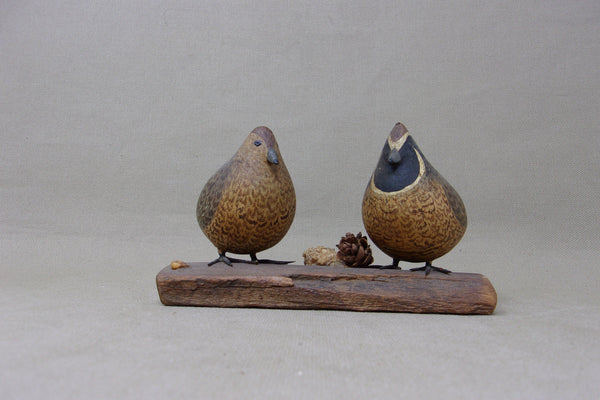 Miniature Quail Pair, Ralf Coykendall, Oregon (#4503)