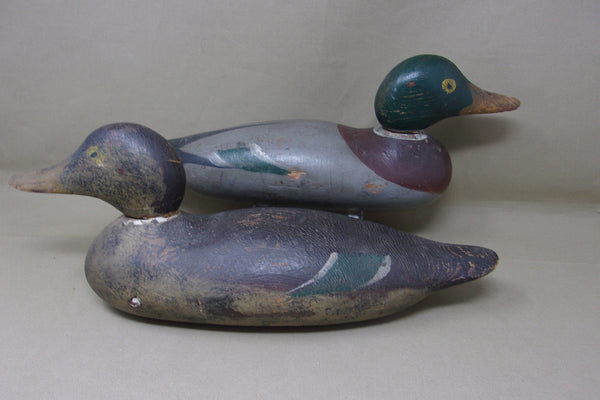 Mason Painted Eye, Mallards Pair (#4505)