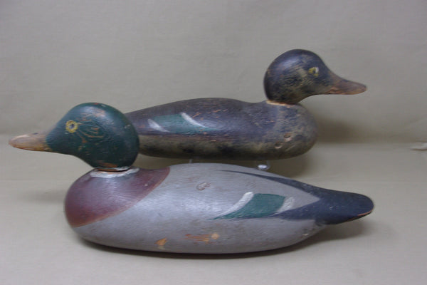 Mason Painted Eye, Mallards Pair (#4505)