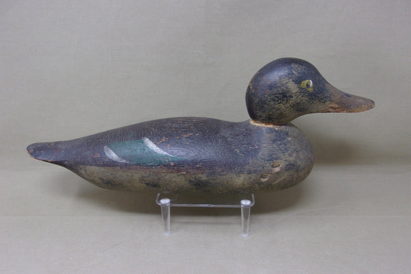 Mason Painted Eye, Mallards Pair (#4505)