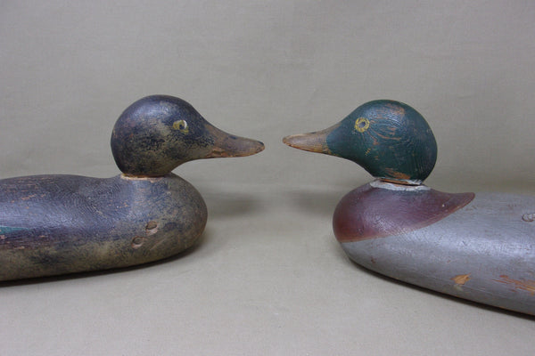 Mason Painted Eye, Mallards Pair (#4505)