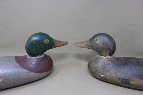 Mason Painted Eye, Mallards Pair (#4505)