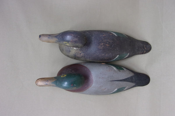 Mason Painted Eye, Mallards Pair (#4505)