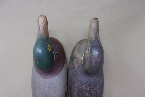 Mason Painted Eye, Mallards Pair (#4505)