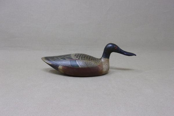 Mini Shoveler, Tony Zullo (#4515)