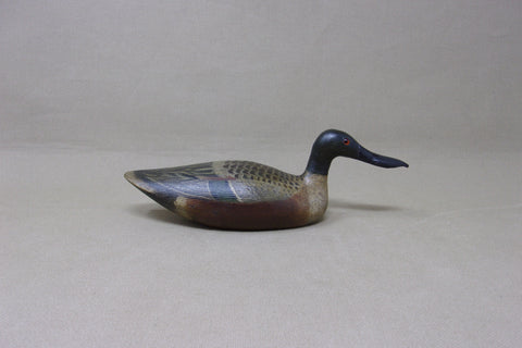 Mini Shoveler, Tony Zullo (#4515)