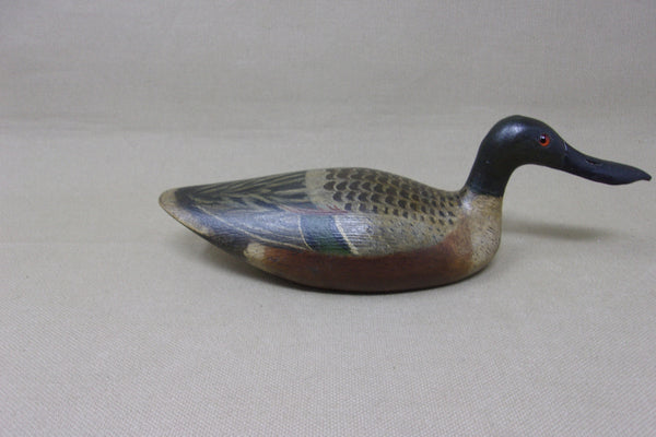 Mini Shoveler, Tony Zullo (#4515)