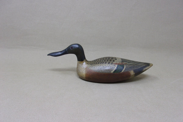 Mini Shoveler, Tony Zullo (#4515)