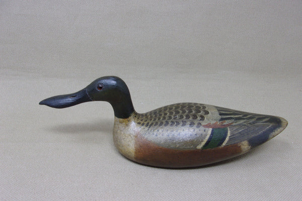 Mini Shoveler, Tony Zullo (#4515)