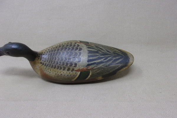 Mini Shoveler, Tony Zullo (#4515)