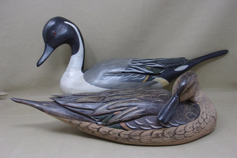 Full Size Pintails Pair, Charles Moore (#4523)