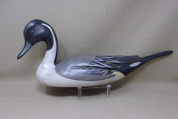 Full Size Pintails Pair, Charles Moore (#4523)