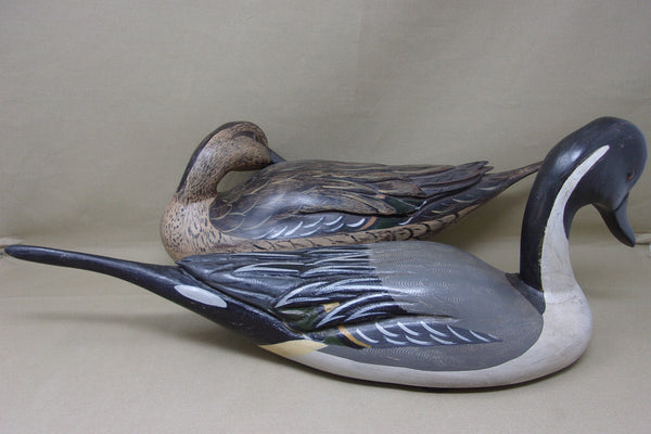 Full Size Pintails Pair, Charles Moore (#4523)