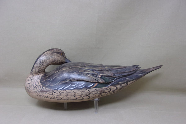 Full Size Pintails Pair, Charles Moore (#4523)