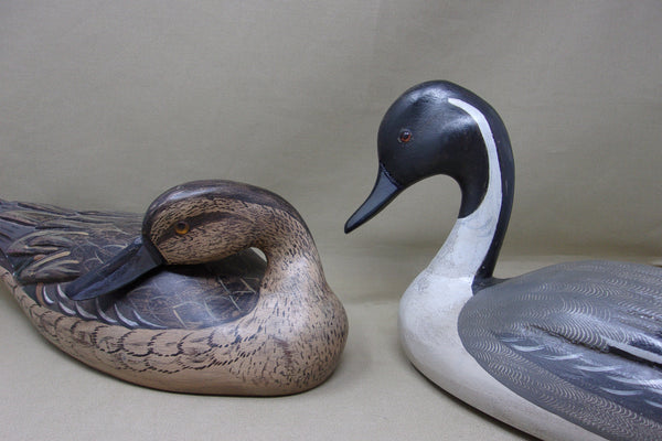 Full Size Pintails Pair, Charles Moore (#4523)