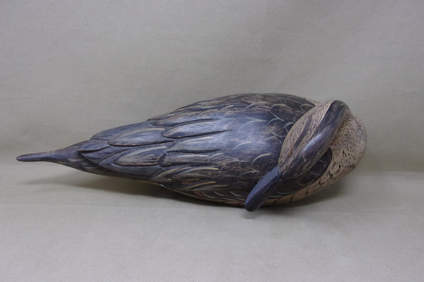 Full Size Pintails Pair, Charles Moore (#4523)